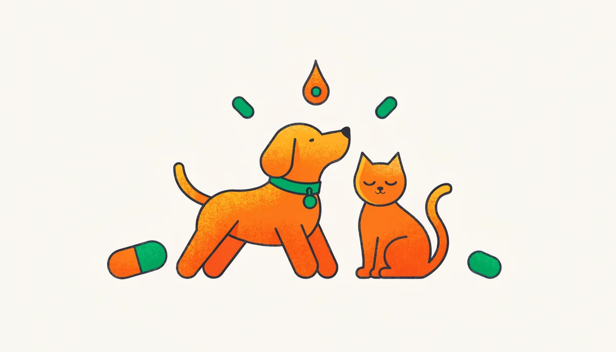 Cão e gato saudáveis e cheios de energia ao lado de cápsulas e frascos de suplementos