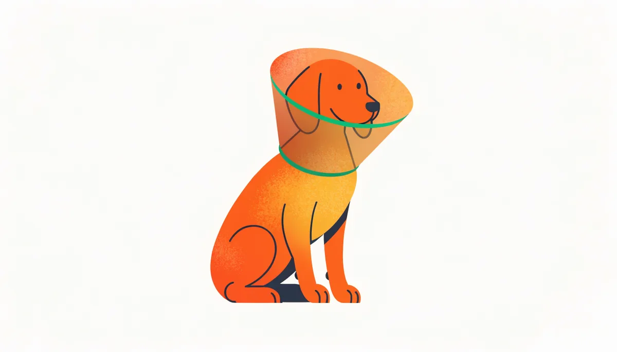 Cachorro tranquilo usando um colar de recuperação macio durante o pós-operatório em casa