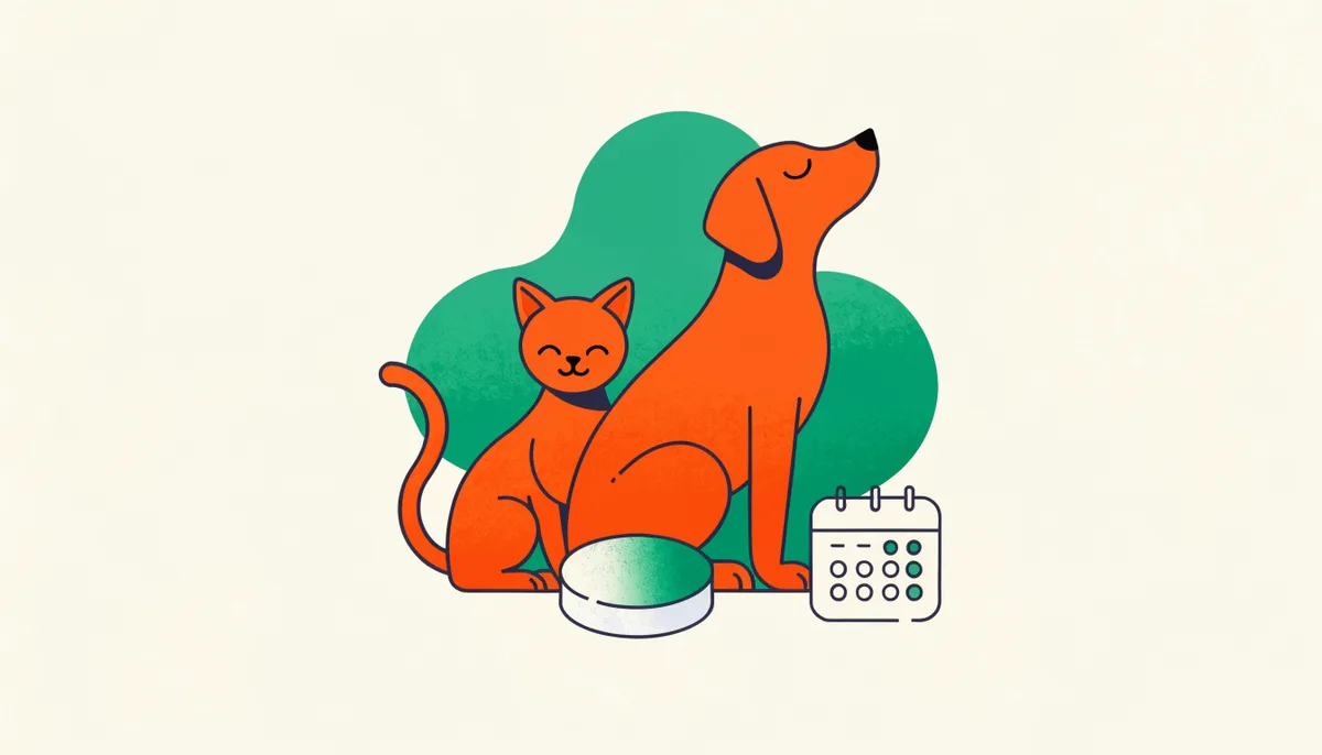 Cão e gato saudáveis ao lado de um comprimido vermífugo e um calendário de rotina de vermifugação