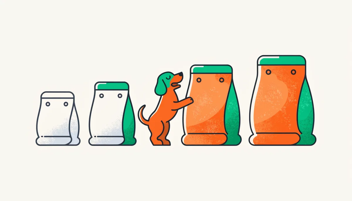 Quatro sacos de ração enfileirados do mais simples ao super premium com um cão feliz escolhendo