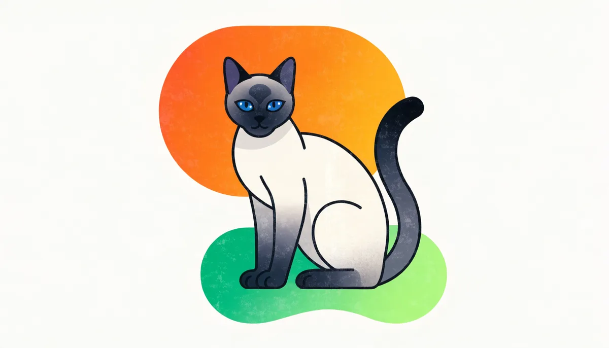 Gato Siamês de pelo curto claro com pontas escuras e olhos azuis sentado, raça reconhecível