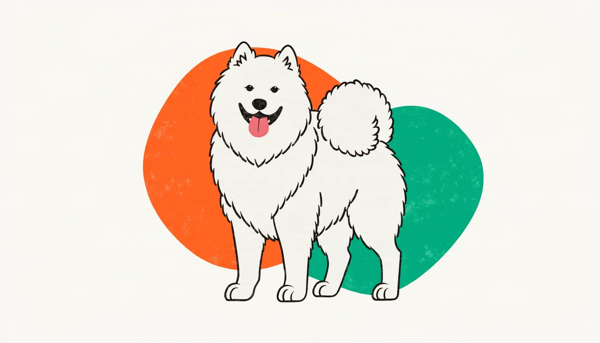 Cão Samoieda de pelagem branca dupla e fofa com o característico sorriso samoieda
