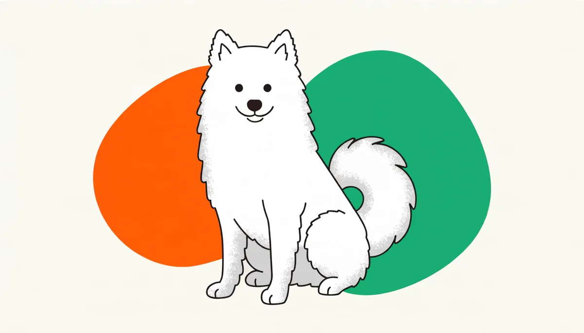 Cão da raça Spitz Japonês de pelagem branca e fofa com focinho pontudo, parecido com um pequeno Samoieda