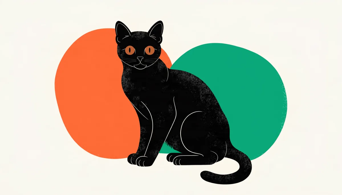 Gato Bombaim de pelagem preta lisa e brilhante com olhos cor de cobre, como uma mini pantera.