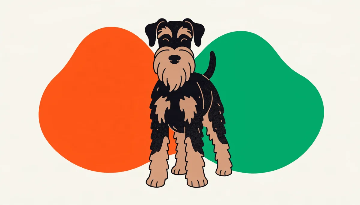 Airedale Terrier de pelo duro preto e castanho, com focinho longo e barbudo e orelhas dobradas, porte médio-grande
