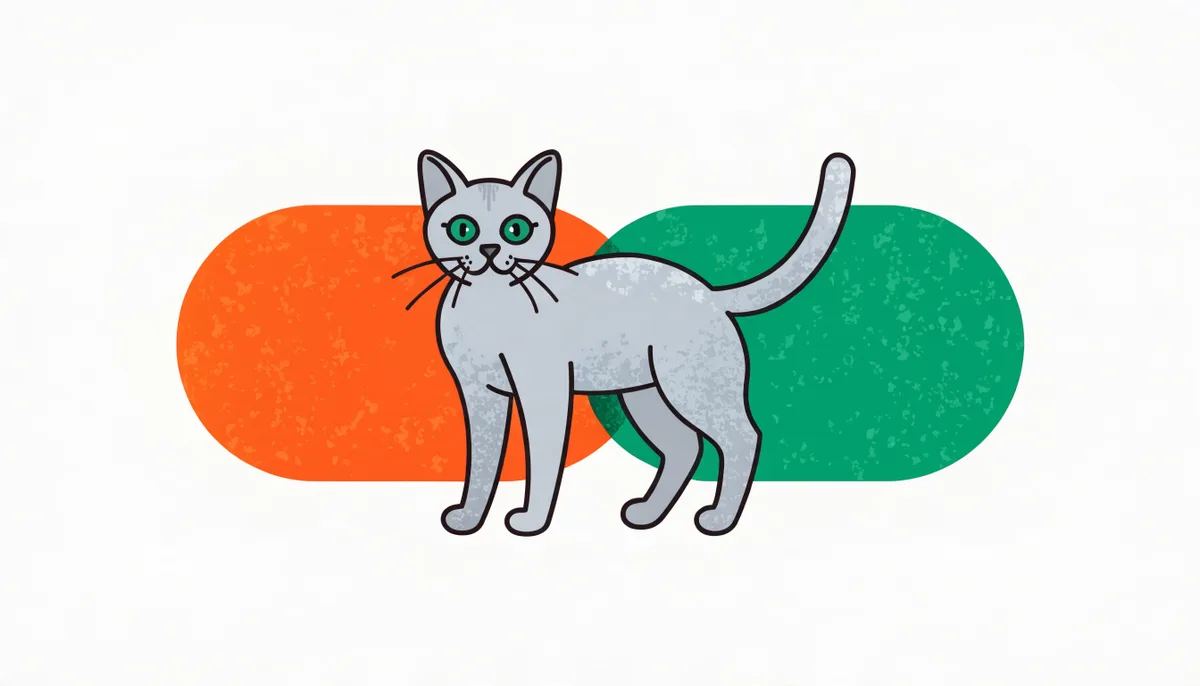 Gato Korat de pelagem azul-acinzentada com brilho prateado e olhos verdes luminosos