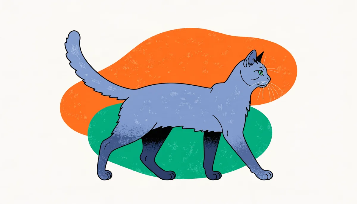 Gato Nebelung de pelagem azul-acinzentada com brilho prateado e olhos verdes