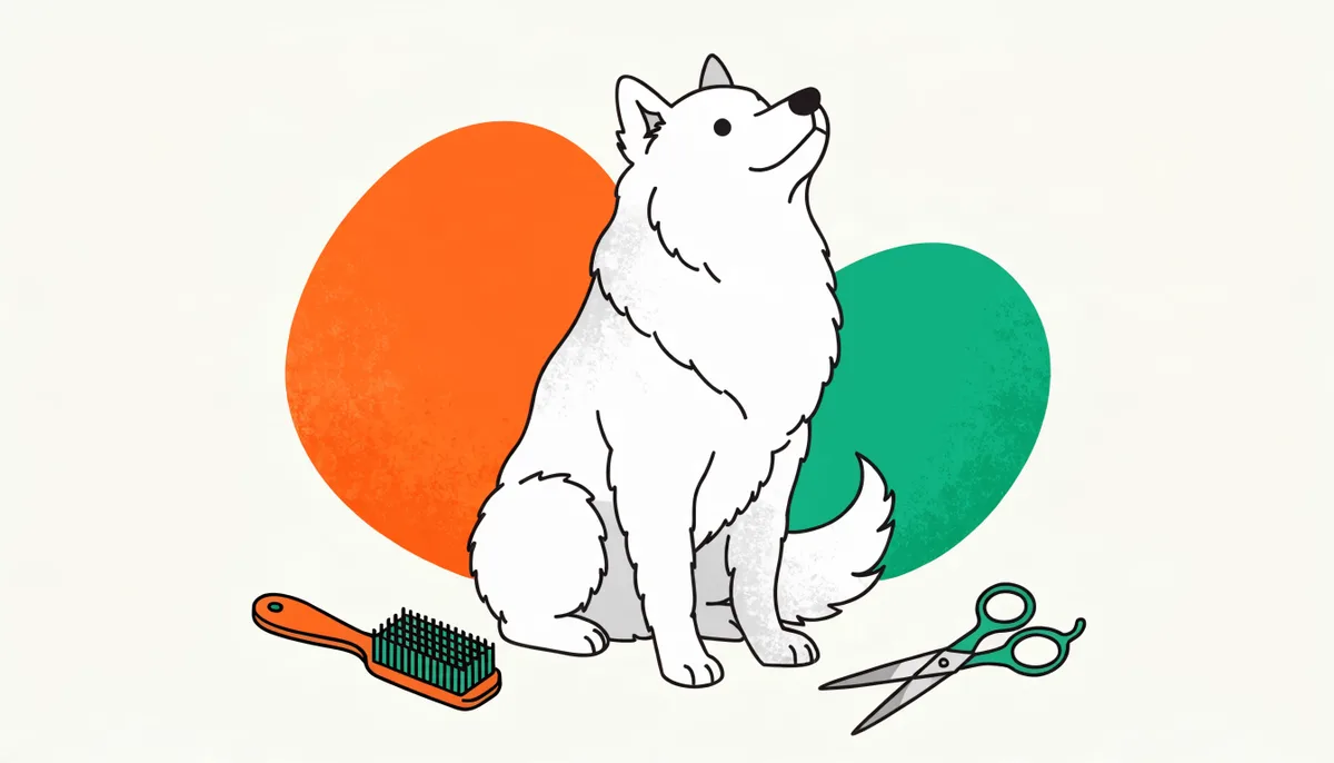 Cão recém-tosado e feliz ao lado de escova e tesoura em um ambiente de banho e tosa limpo