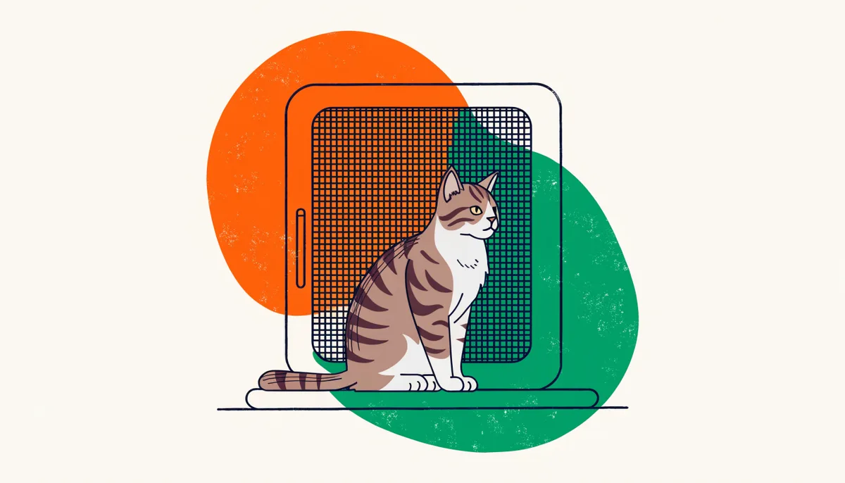Gato sentado com segurança junto a uma janela telada, em cena que remete à vida protegida dentro de casa como prevenção de FIV e FeLV