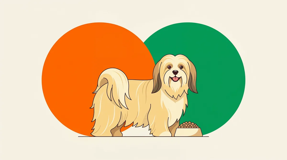 Ilustração de um Lhasa Apso ao lado de uma tigela de ração