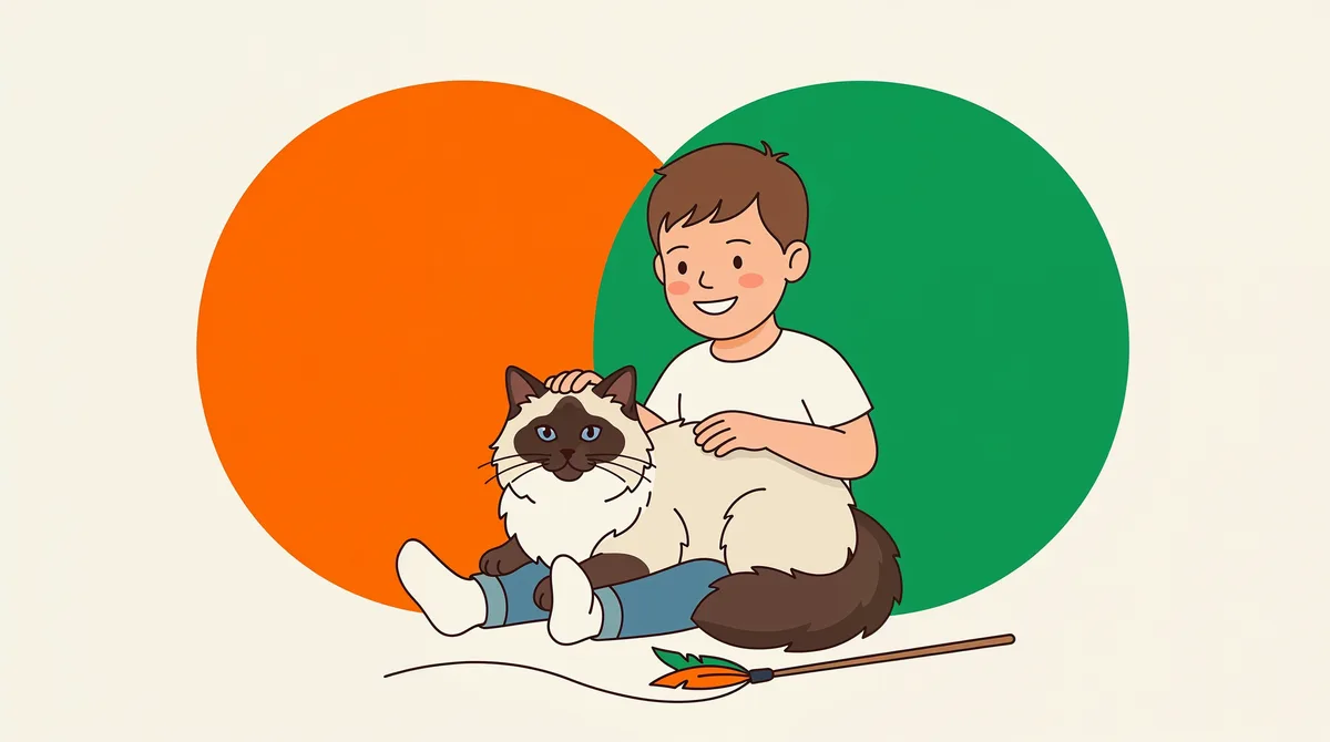 Criança sentada no chão brincando com um gato de pelo longo usando uma varinha