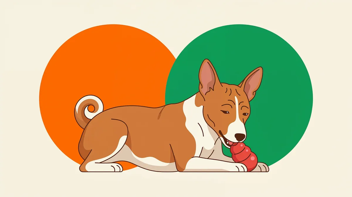 Cachorro Basenji deitado tranquilo ao lado de um brinquedo recheável