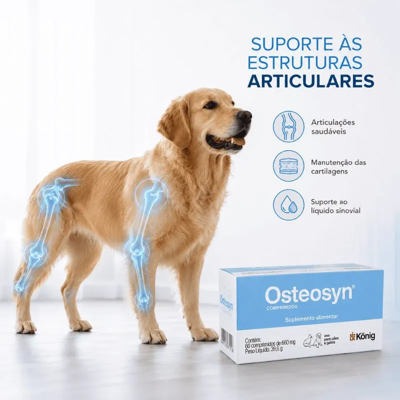 Suplemente  Alimentar Osteosyn 600mg König