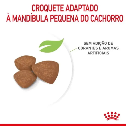 Ração Royal Canin mini Indoor para Filhotes de Pequeno Porte