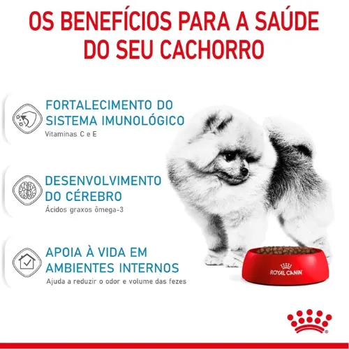 Ração Royal Canin mini Indoor para Filhotes de Pequeno Porte