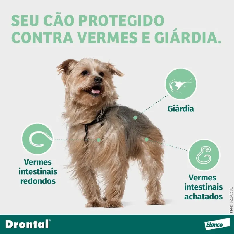 Drontal Plus para Cães até 10 kg com 4 Comprimidos