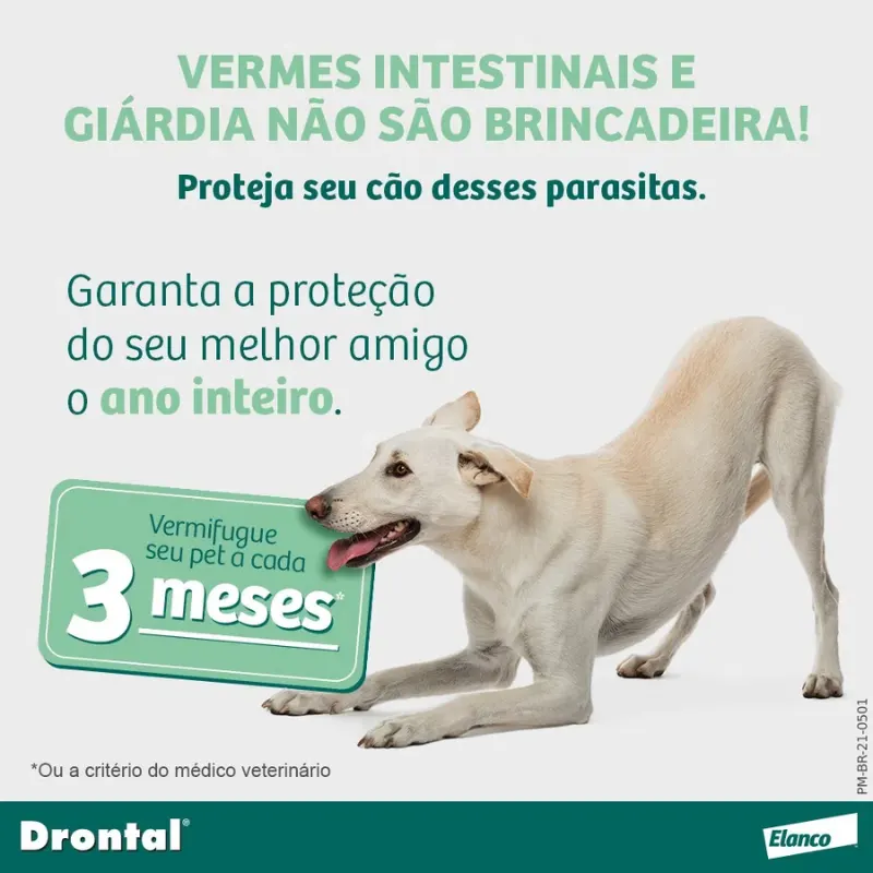 Drontal Plus para Cães até 10 kg com 4 Comprimidos
