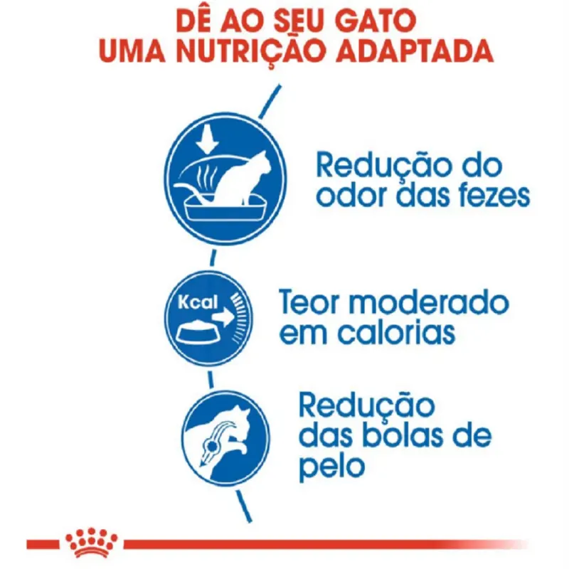 Ração Royal Canin Indoor Gatos Adultos 1,5kg