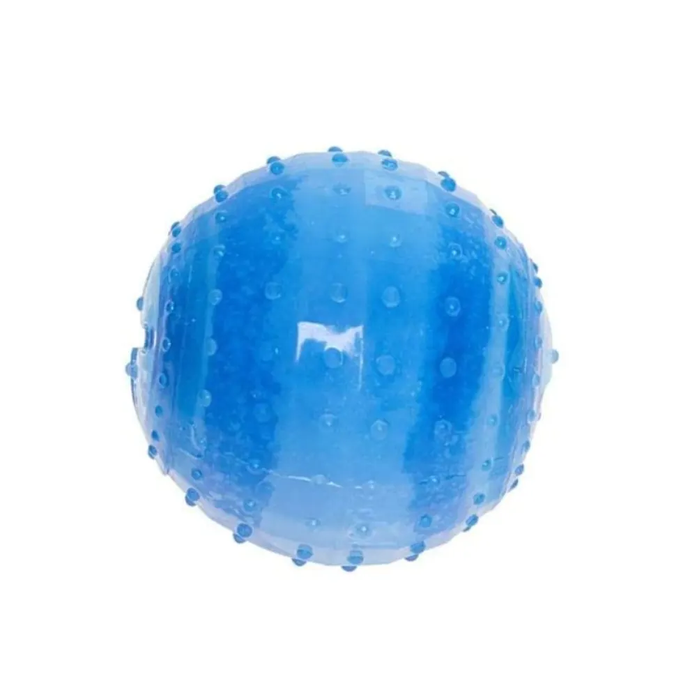 Brinquedo Home Pet Gelado Bola