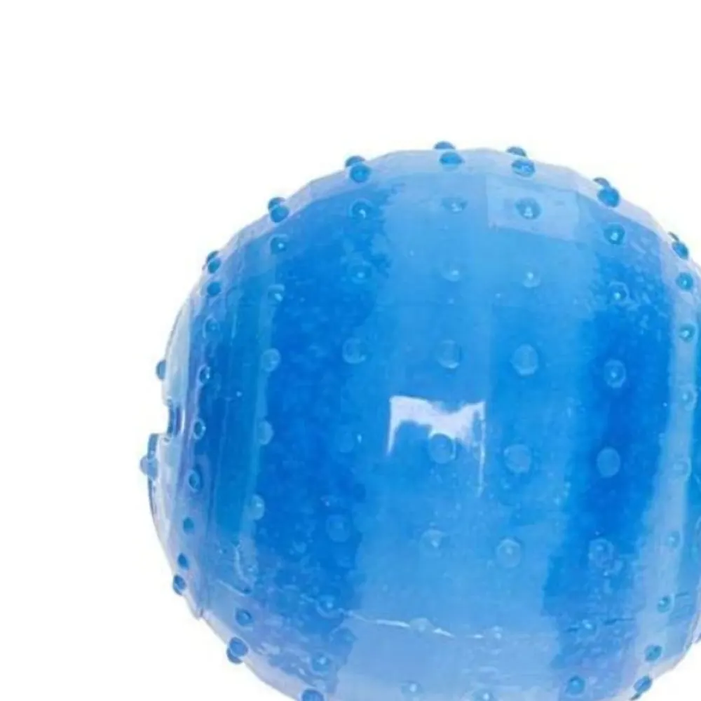 Brinquedo Home Pet Gelado Bola