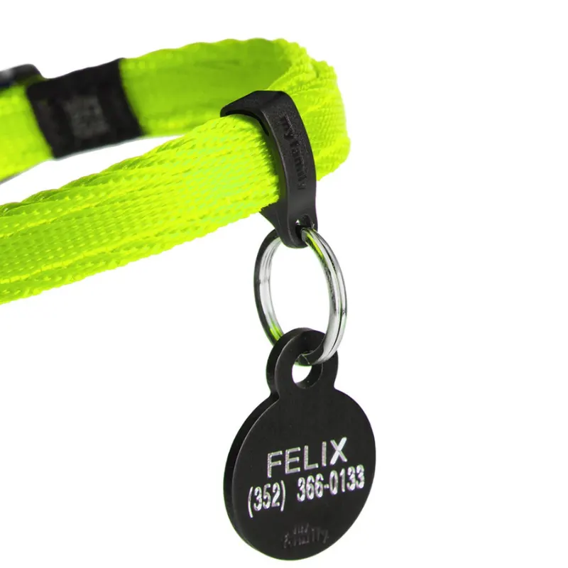 Coelira My Family de Gato Memopet Verde 20-30