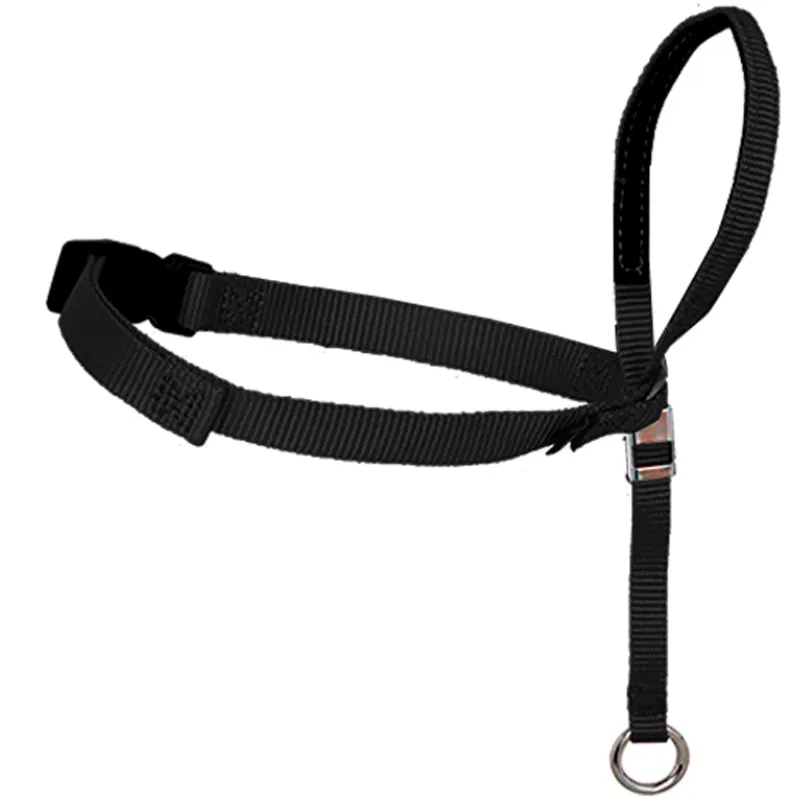 Focinheira Amicus Easy Antipuxão Preta  P