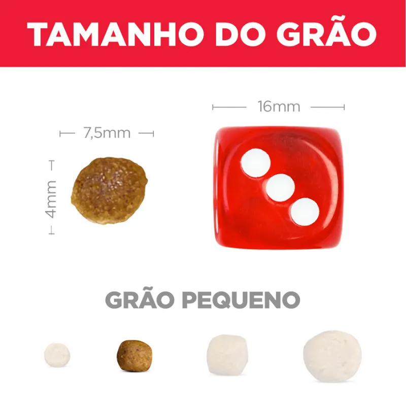 Ração Hills Science Diet Pequenos e Mini para Cães Adultos Sabor Frango 2,04 KG