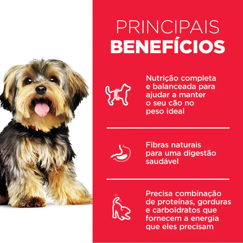 Ração Hills Science Diet Pequenos e Mini para Cães Adultos Sabor Frango 2,04 KG