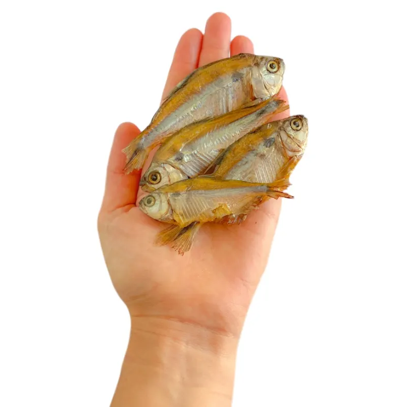 Petisco Natural Luv Lambari 80 g