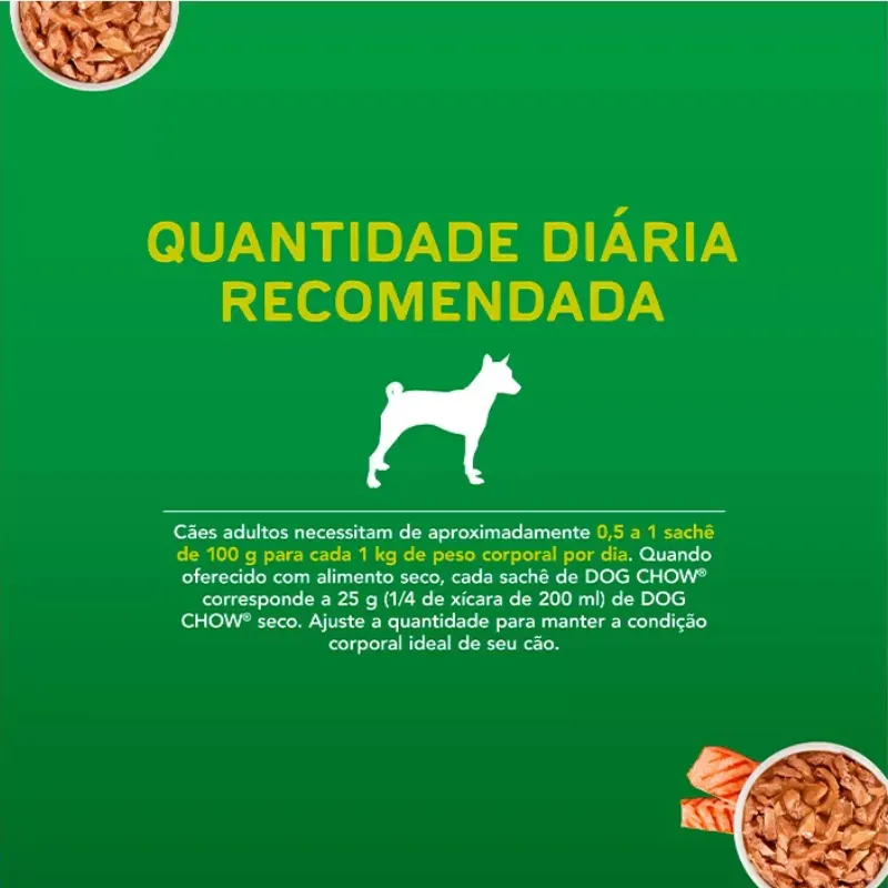 Dog Chow Sachê P/ Cães Adultos Raças Peq. Sabor Salmão 100 g