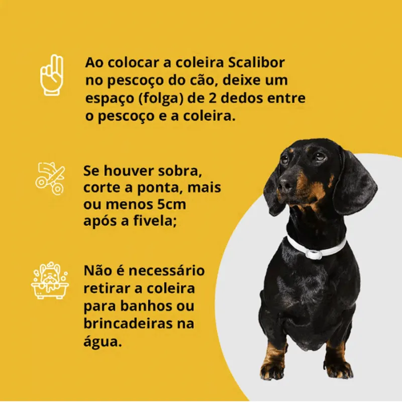 Coleira Antipulgas Scalibor Cães