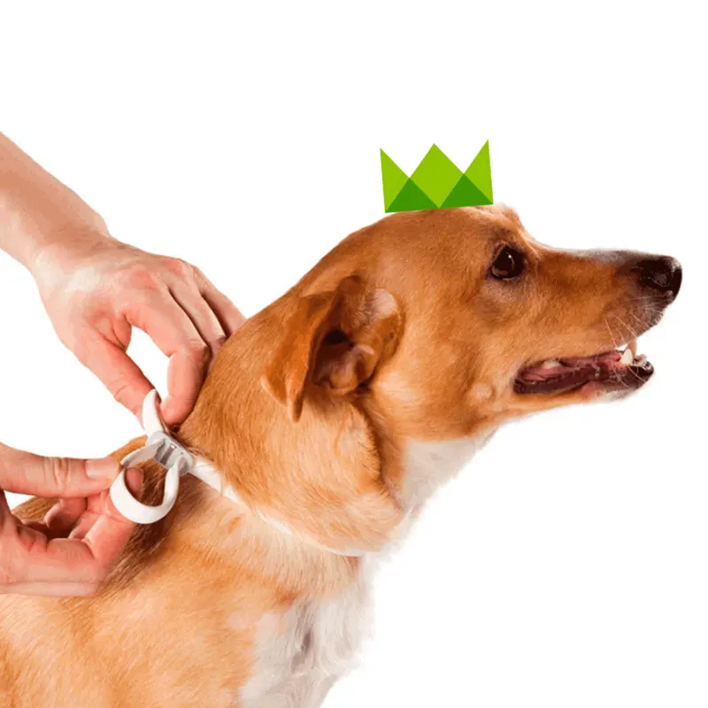 Coleira Antipulgas Scalibor Cães