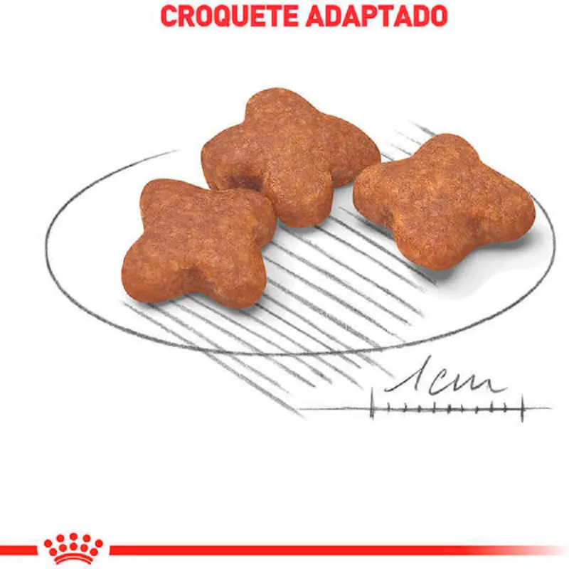 Ração Royal Canin para Cães Adultos 8+  2,5 Kg