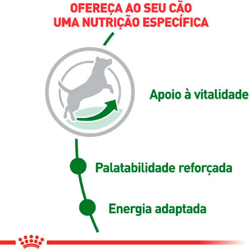 Ração Royal Canin para Cães Adultos 8+  2,5 Kg