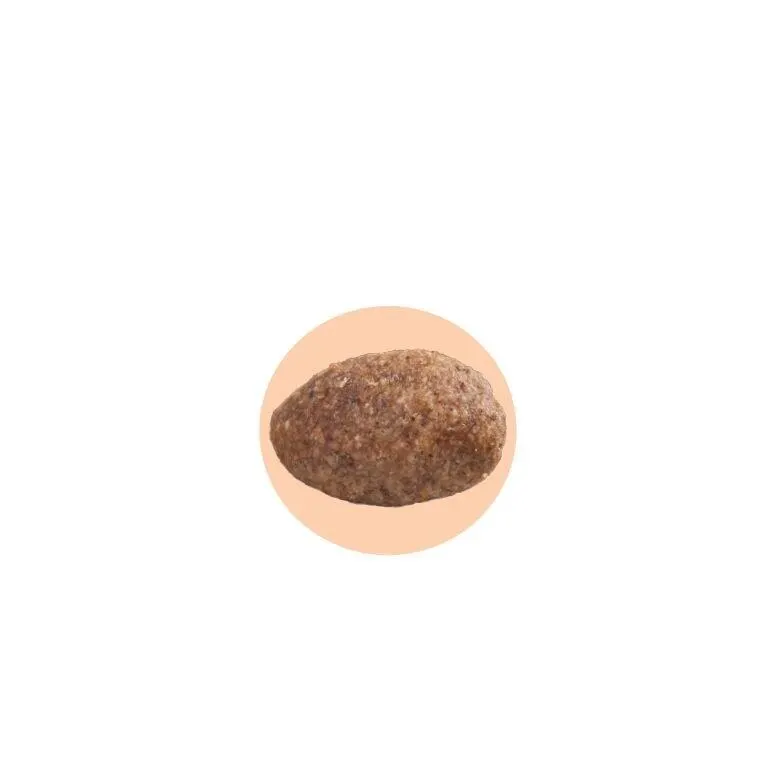 Ração GranPlus Cão Gourmet Adulto MG Peru e Arroz 10,1kg