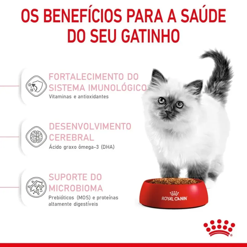 Ração Royal Canin Gatos Filhotes 4 Kg