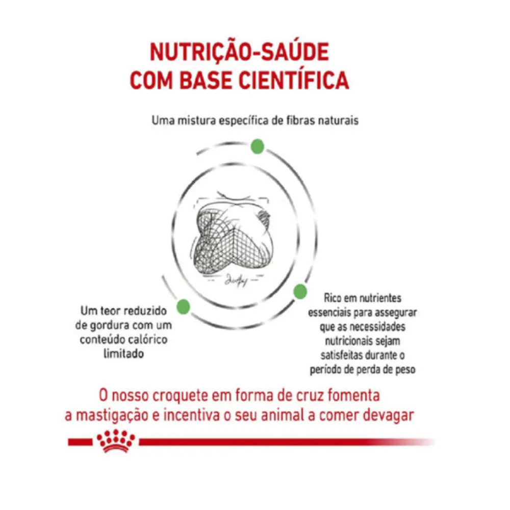 Ração Royal Canin Veterinary Diet Gastro Intestinal Cães Adultos 2,0 kg