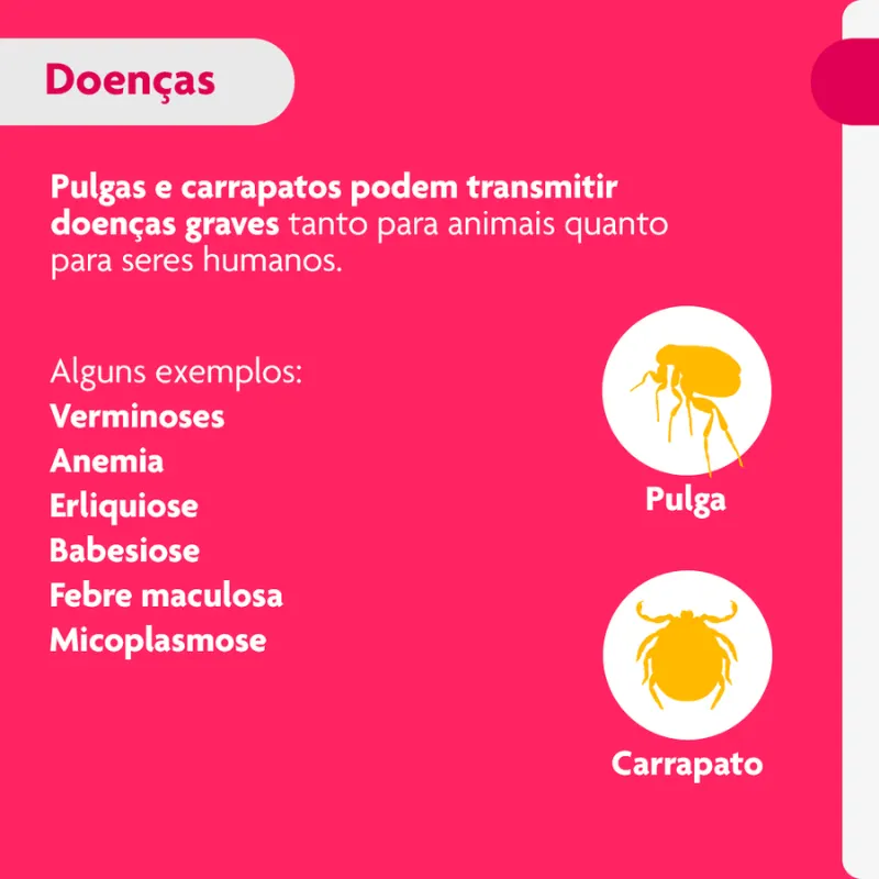 Bravecto Transdermal para Cães de 4,5 até 10 Kg  250 mg