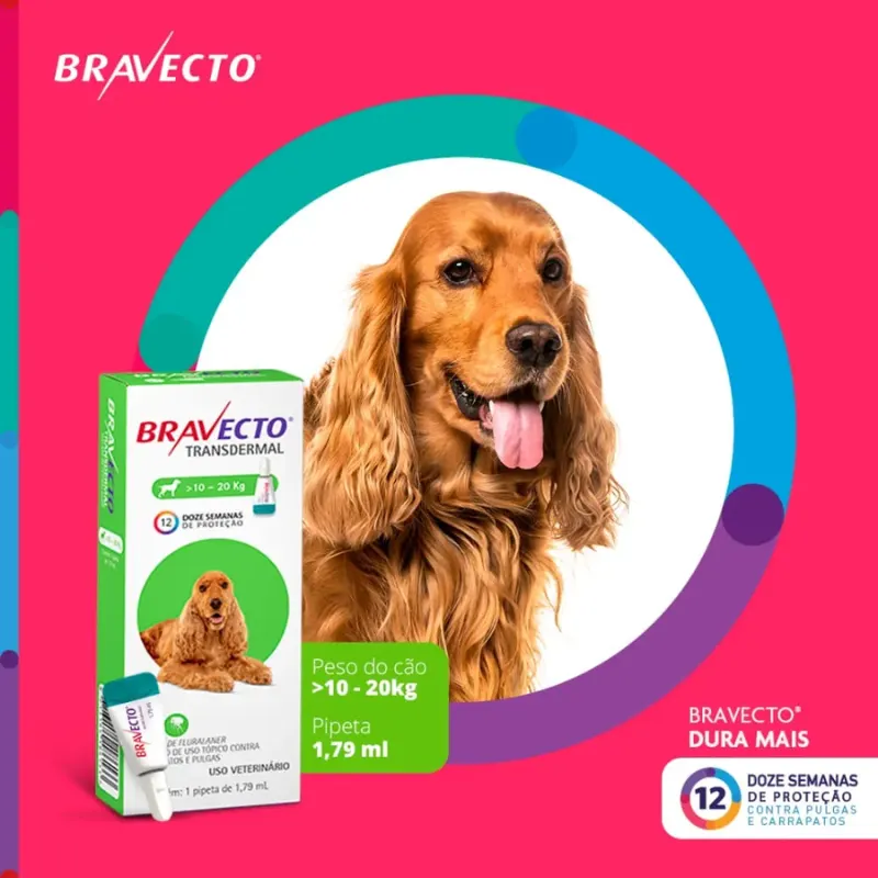 Bravecto Transdermal para Cães de 10 a 20 Kg  500 Mg