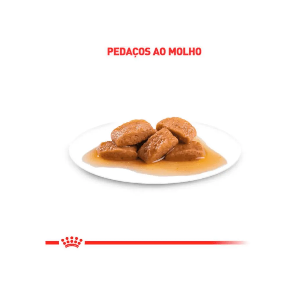 Ração Úmida Royal Veterinary Gatos Insuficiência Renal 85g