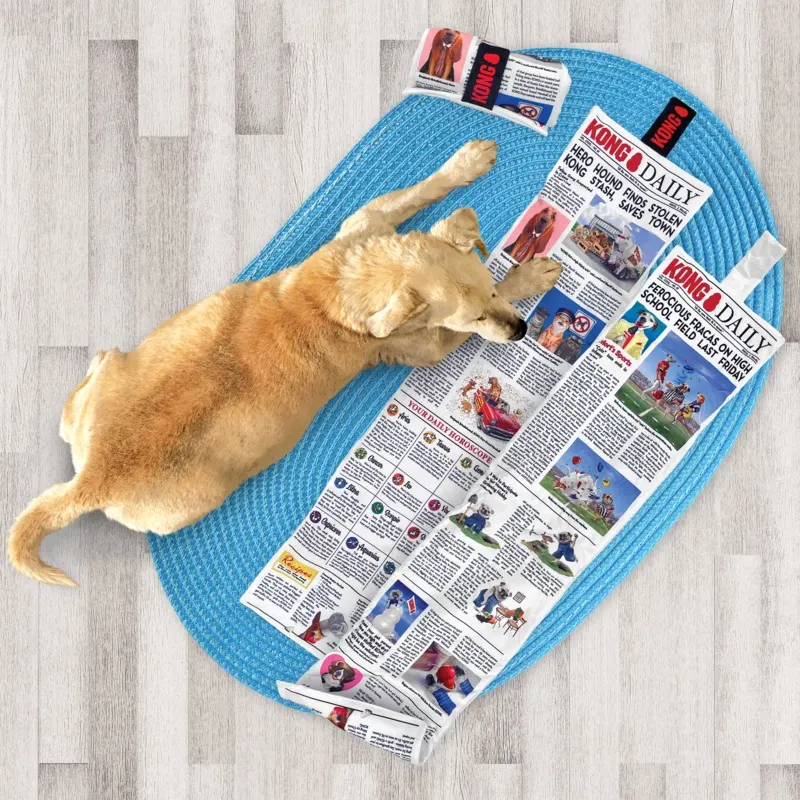 Brinquedo Kong Daily Newspaper Grande (RKDX)