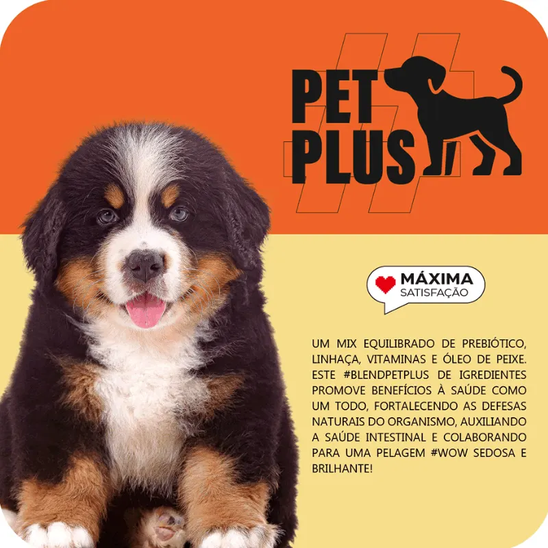 Ração Seca Max Carne Arroz Cães Filhotes Médio Grande