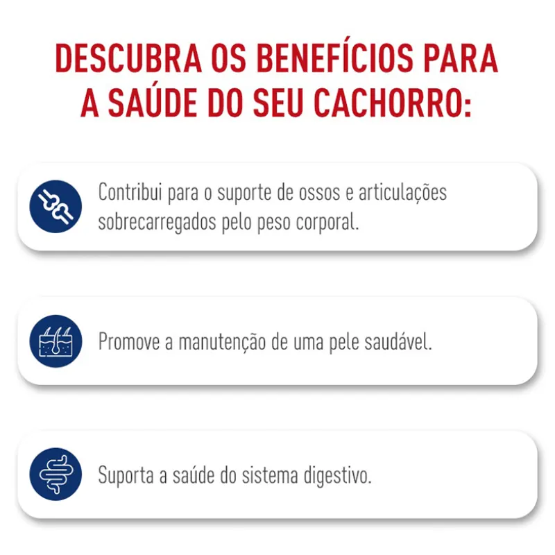 Ração Royal Canin Maxi Adult para Cães Adultos de Porte Grande 12 Kg