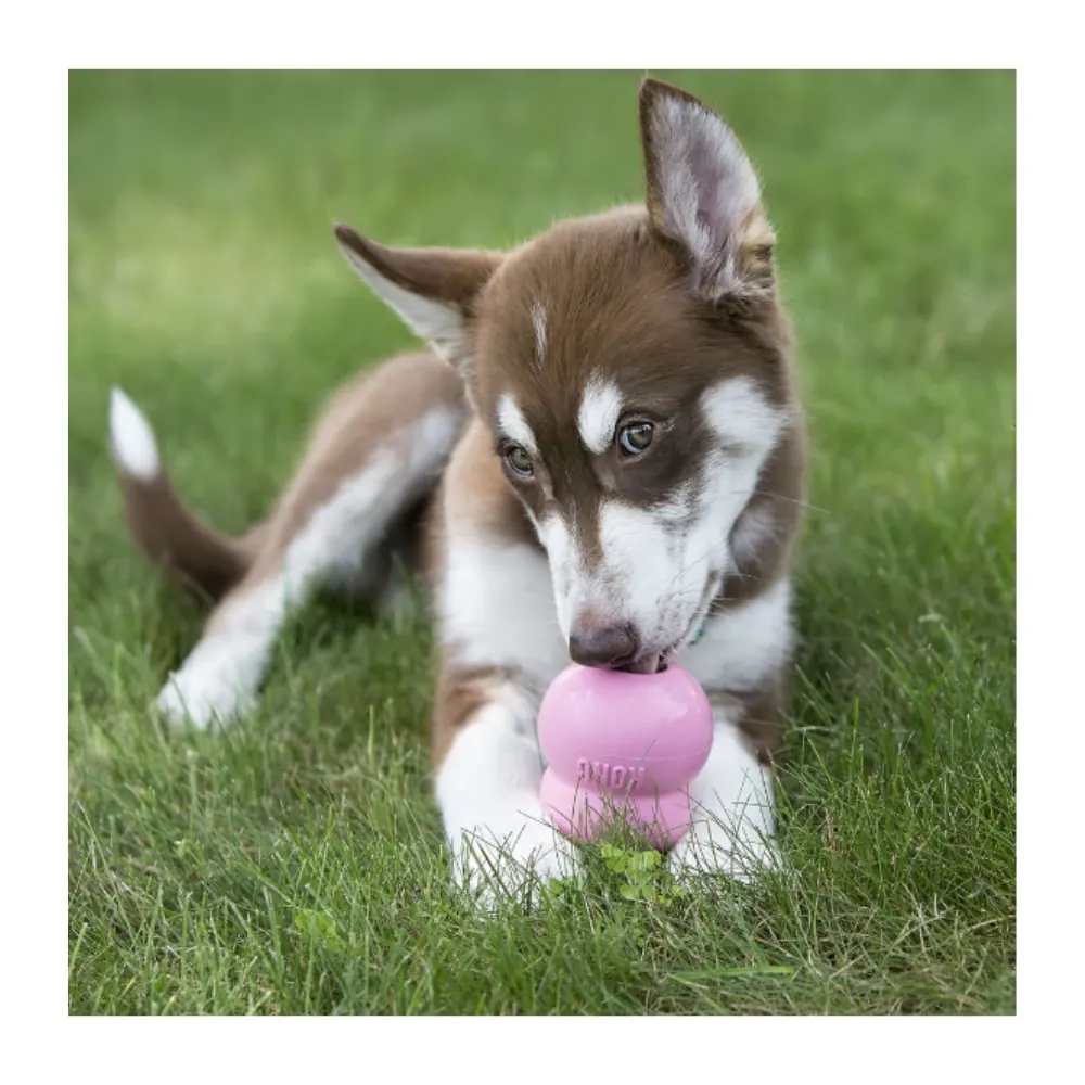 Brinquedo Interativo KONG Classic com Dispenser Rosa- Pequena