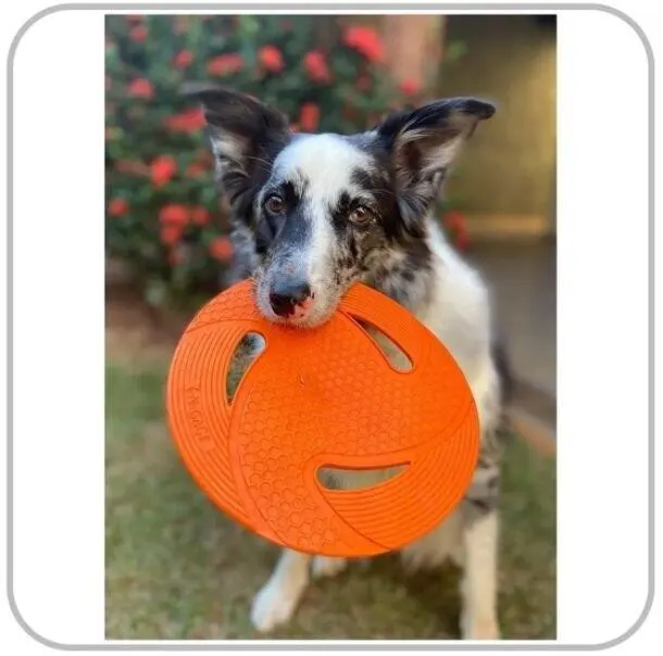 Brinquedo Para Pet Cachorros Frisbee Disco N-gage Flyer Dog