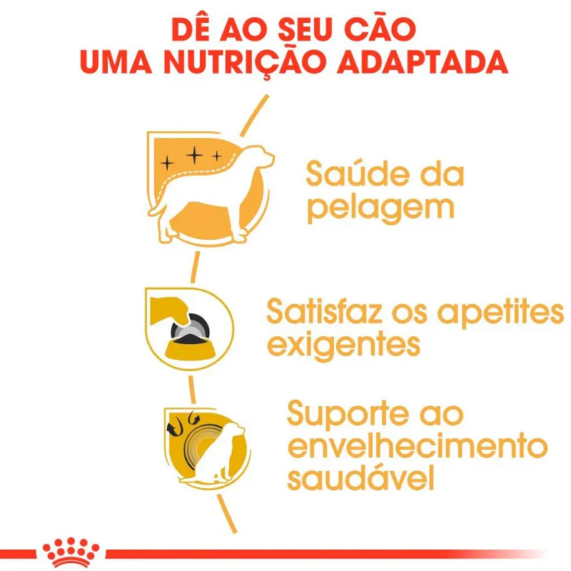 Ração Royal Canin Yorkshire Adulto 2,5 Kg