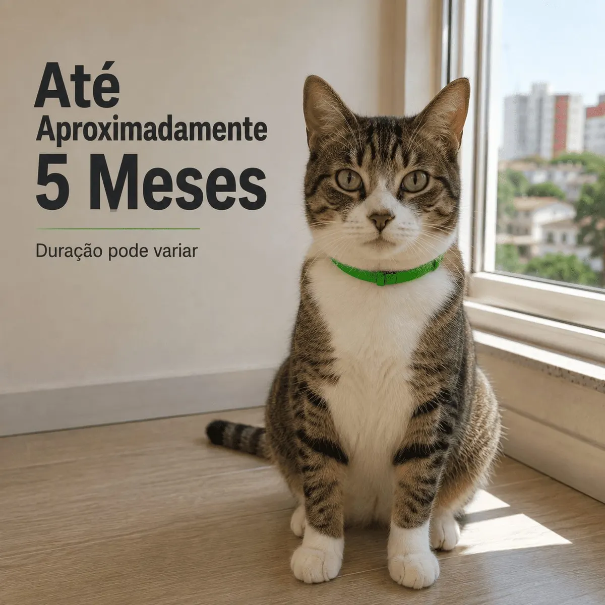 Coleira Antiparasitária Externo 33 cm para Gatos König