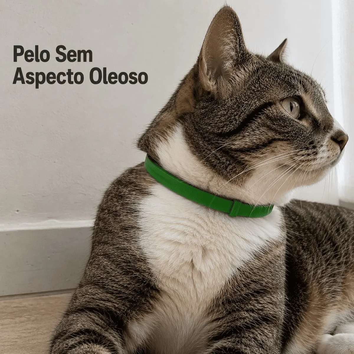 Coleira Antiparasitária Externo 33 cm para Gatos König