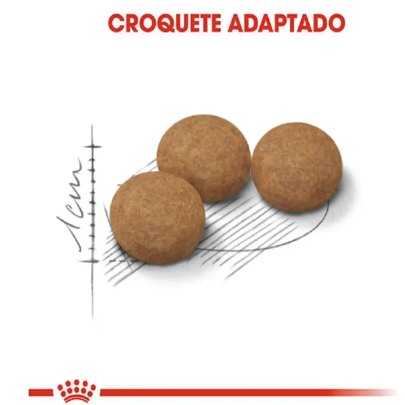 Ração Royal Canin Castrados 12+ Gatos Adultos 4 Kg