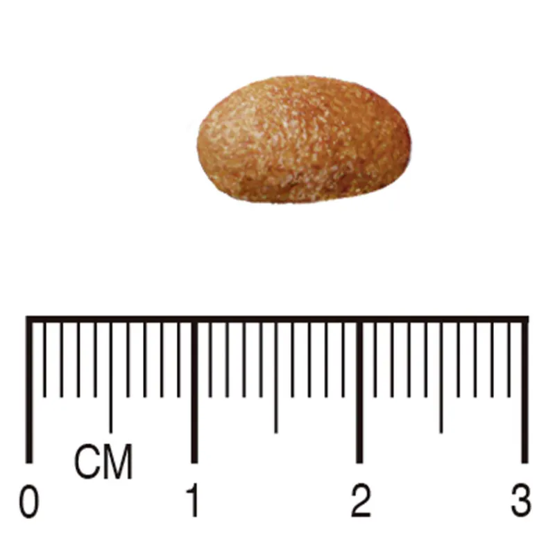 Ração Equilíbrio Veterinary Hypoallergenic Cães Adultos